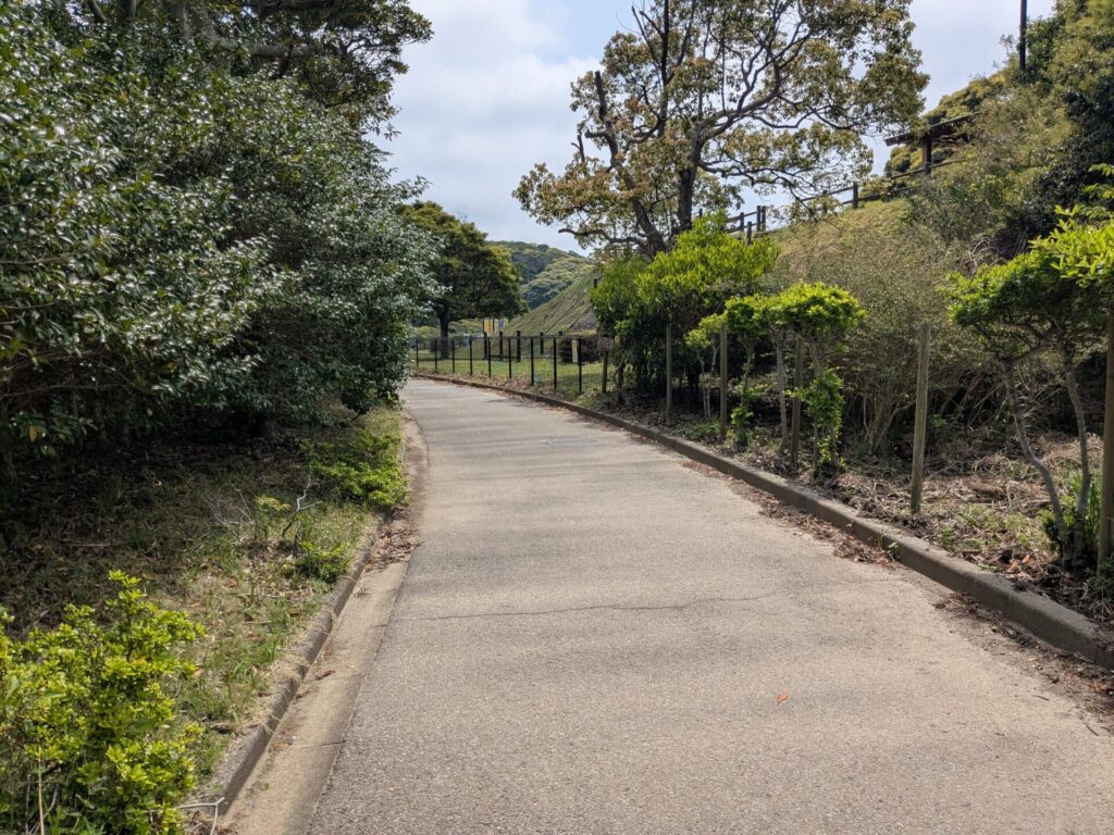館山運動公園野球場裏を進むと見える遊具