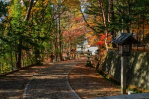 いろは坂の紅葉の写真